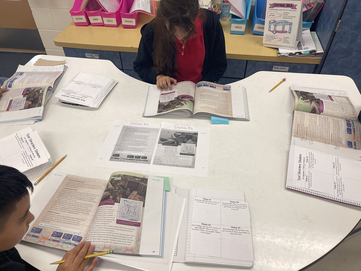 Mrs. Nuredini tweet media