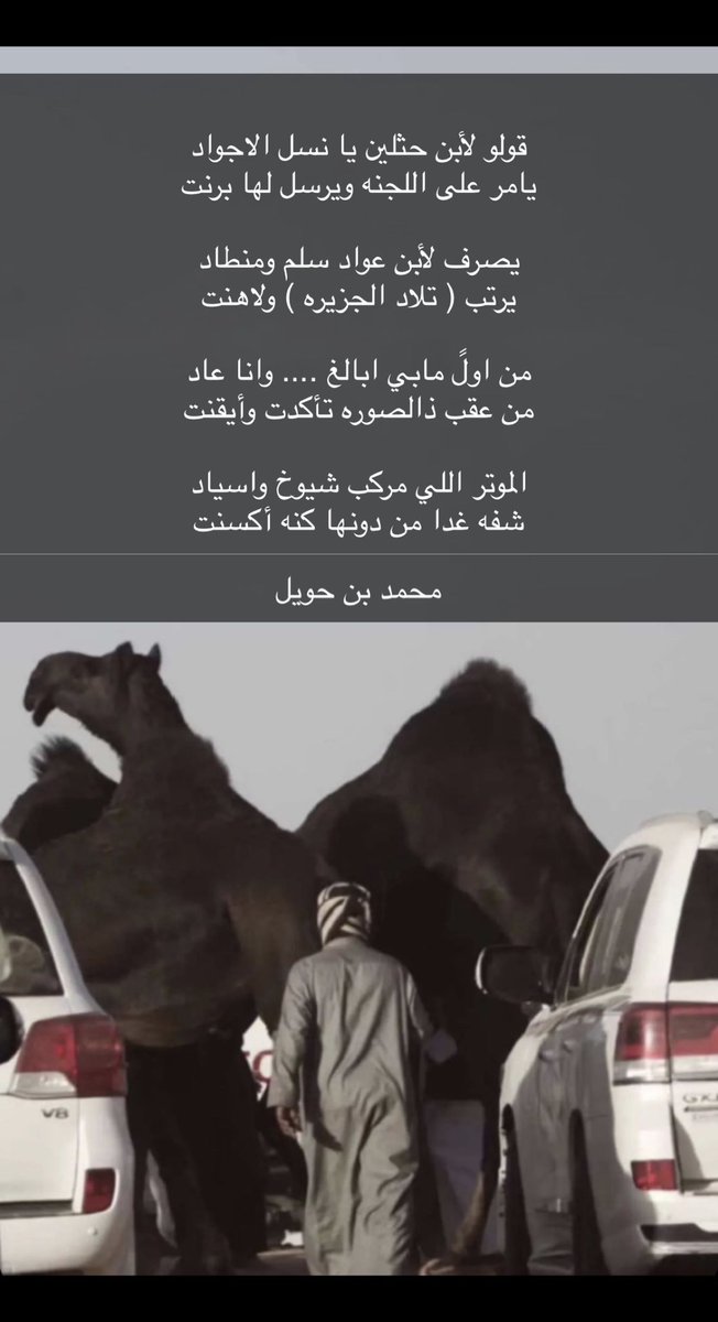 bn_7wel's tweet photo. #تلاد_المجاهيم 
#ابن_عواد
#نادي_الإبل https://t.co/omTVLBn1Cy