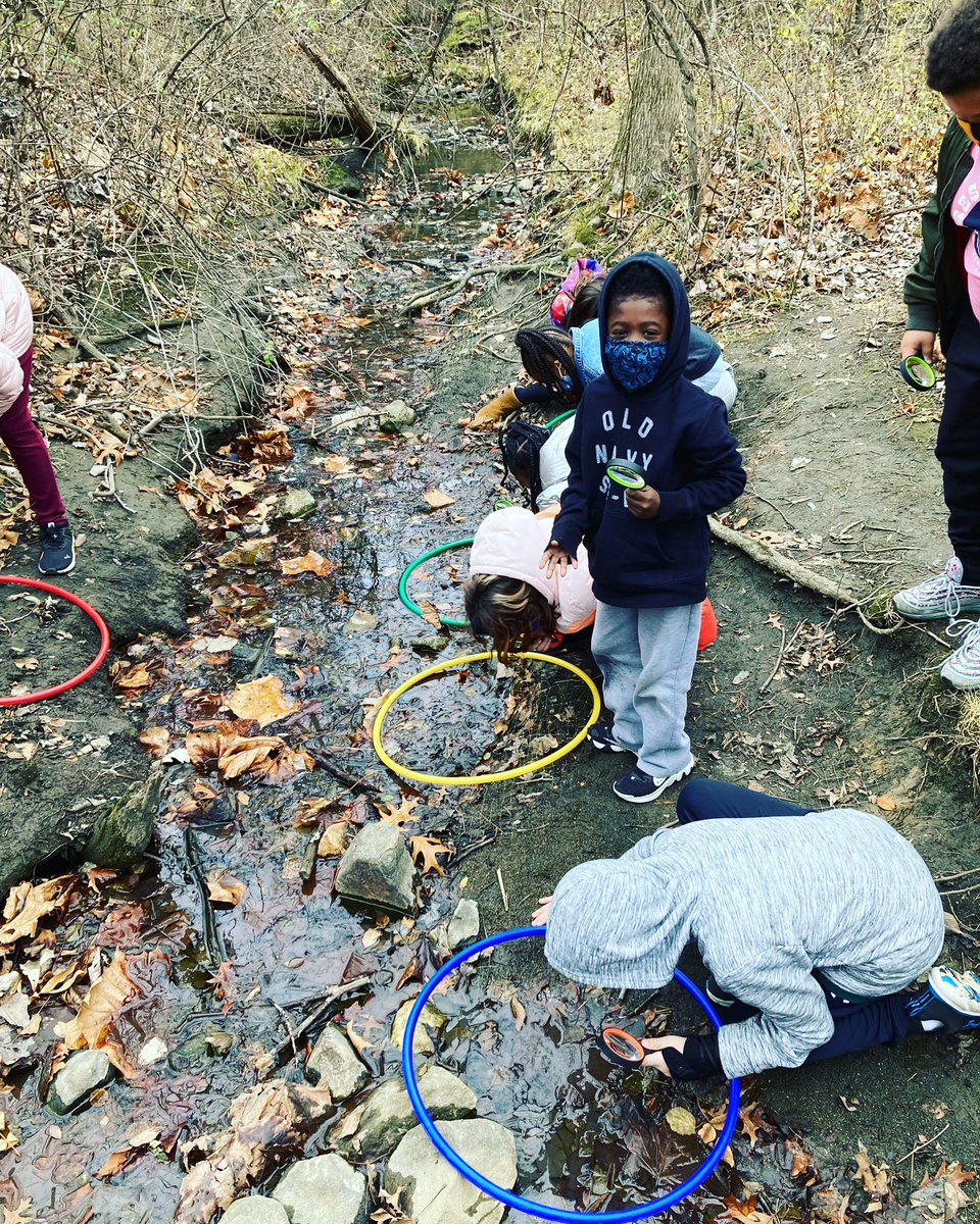 WatershedPCS's tweet photo. 3rd Grade Stream Captains investigating the health of our stream! 🐢 🐢 #handsonlearning #thewatershedwatershed #projectbasedlearning #turtlepride @BCPSOutdoorSci @MdEnvLiteracy @MAEOE_MD https://t.co/m7hMzmyvxi