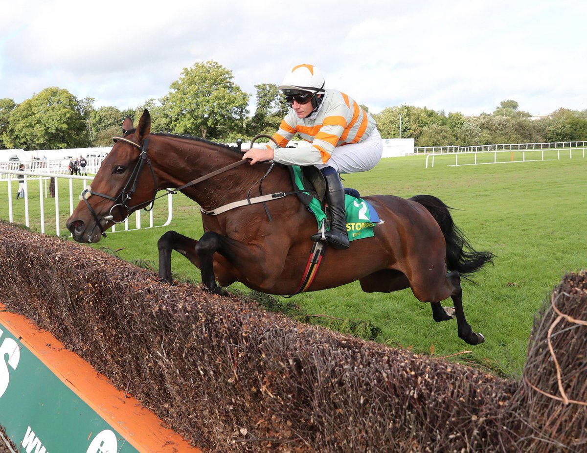 ClosuttonRacing's tweet photo. All roads head to @corkracecourse on Sunday for a large group of club members to see Robinnia @WillieMullinsNH take her chance in the O Flynn Group Mares Grade 2 Novice chase. Safe home to her and Jack Foley taking his first ride for the club https://t.co/XRbRa6zzeU
