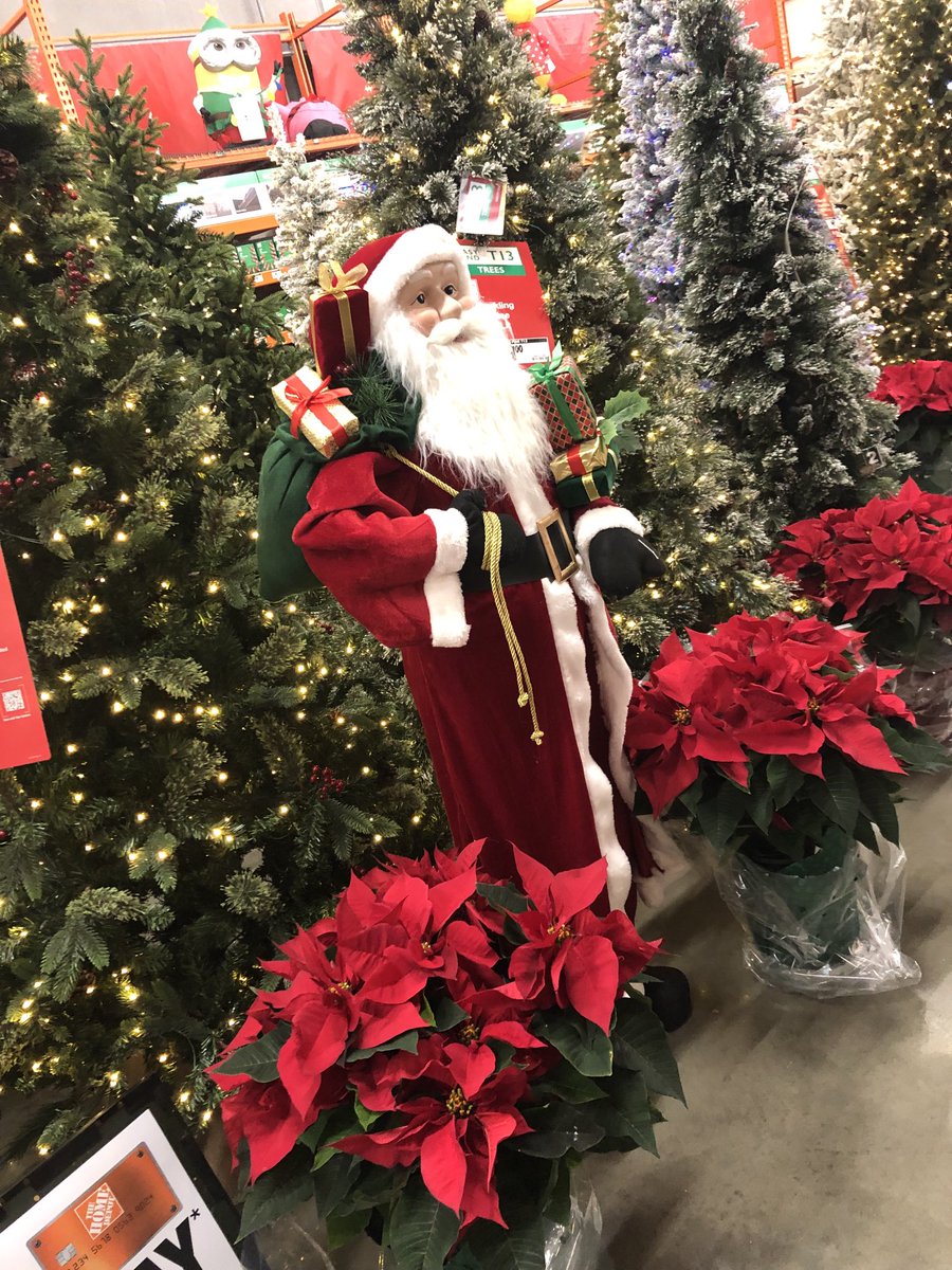 Donna  Davis tweet media