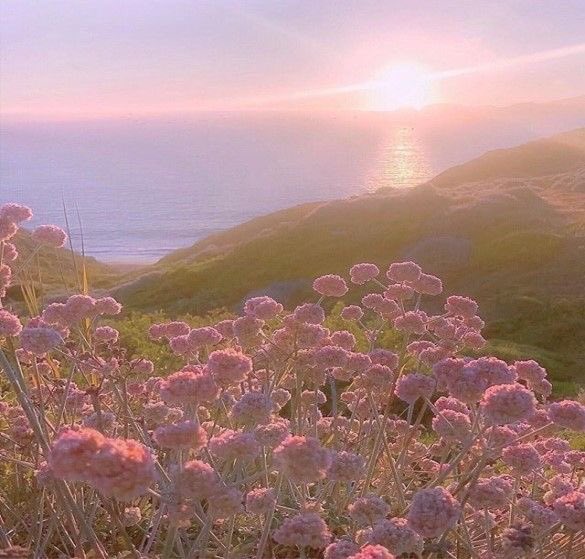 — 𝓐𝓶•𝓫𝓻𝓸•𝓼𝓲𝓪
• 𝓕𝓸𝓸𝓭 𝓸𝓯 𝓽𝓱𝓮 𝓰𝓸𝓭𝓼

❝𝓢𝓸𝓶𝓮𝓽𝓱𝓲𝓷𝓰 𝓼𝓸 𝓼𝔀𝓮𝓮𝓽 𝓪𝓷𝓭 𝓴𝓲𝓷𝓭.❞

𝓨𝓸𝓾𝓻 𝓻𝓮𝓼𝓲𝓭𝓮𝓷𝓽 𝓯𝓵𝓸𝔀𝓮𝓻 𝓷𝔂𝓶𝓹𝓱 𝓪𝓽 𝔂𝓸𝓾𝓻 𝓼𝓮𝓻𝓿𝓲𝓬𝓮!

#MYTHRP / #MVRP