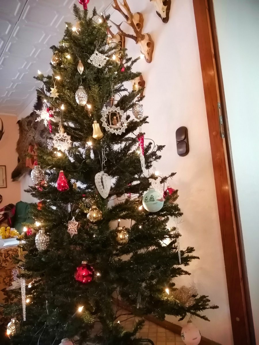 Margit Rudolph (@margit_rudolph) on Twitter photo 