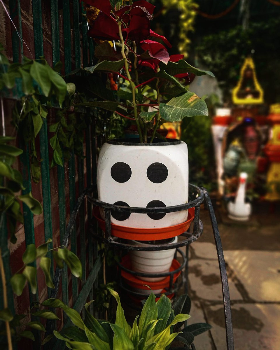 Shivamraj7521's tweet photo. Life is unpredictable sometimes 6️⃣ sometimes 1️⃣........

@kunalmalhotra26 #youeditmyphoto2021 #tpbchallenge 
#NetGeoYourLens 
#picture 
#photo 
#photography #indianphotographyhub #indiaclicks 
#yesindia
#worldphotographyhub #indiapictures #photographers_of_india https://t.co/8KPUgdRsr7