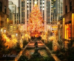 HampsteadPhoto's tweet photo. 2021 Christmas in New York City! https://t.co/DY6mmxx7MO