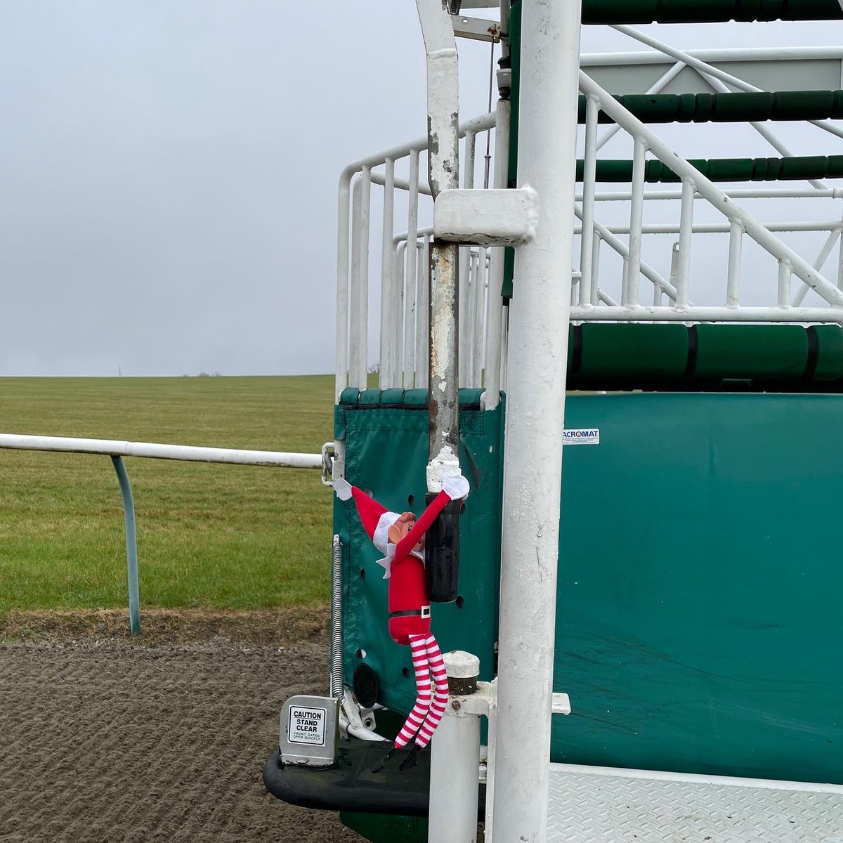 KublerRacing's tweet photo. The little fella went out to the stalls @LambournGallops to work with a couple of upcoming debutants who needed to develop their breaking speed. https://t.co/apuxuD9SQ2