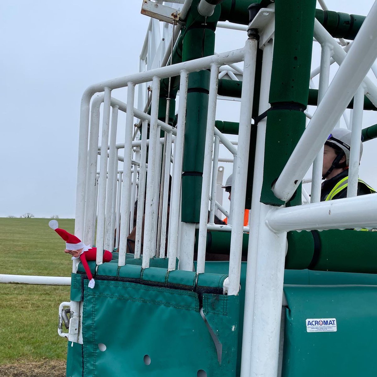 KublerRacing's tweet photo. The little fella went out to the stalls @LambournGallops to work with a couple of upcoming debutants who needed to develop their breaking speed. https://t.co/apuxuD9SQ2