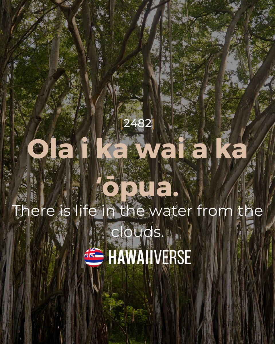 hawaiiverse's tweet photo. [2482]
Ola i ka wai a ka ʻōpua
There is life in the water from the clouds.
Rain gives life

#hawaiiverse #olelonoeau  #explorehawaii #nakedhawaii #oceanlife #hilife808 #instahawaii #island #beach #paradise https://t.co/3R1y1fuzMd