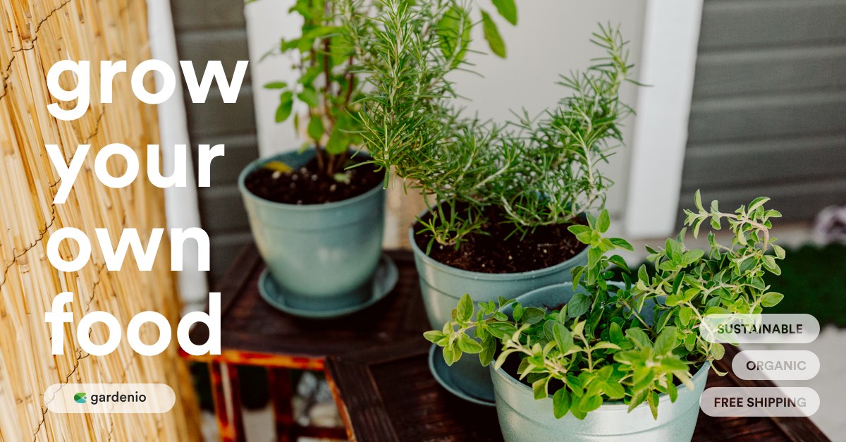 Techstars Sustainability Accelerator tweet media