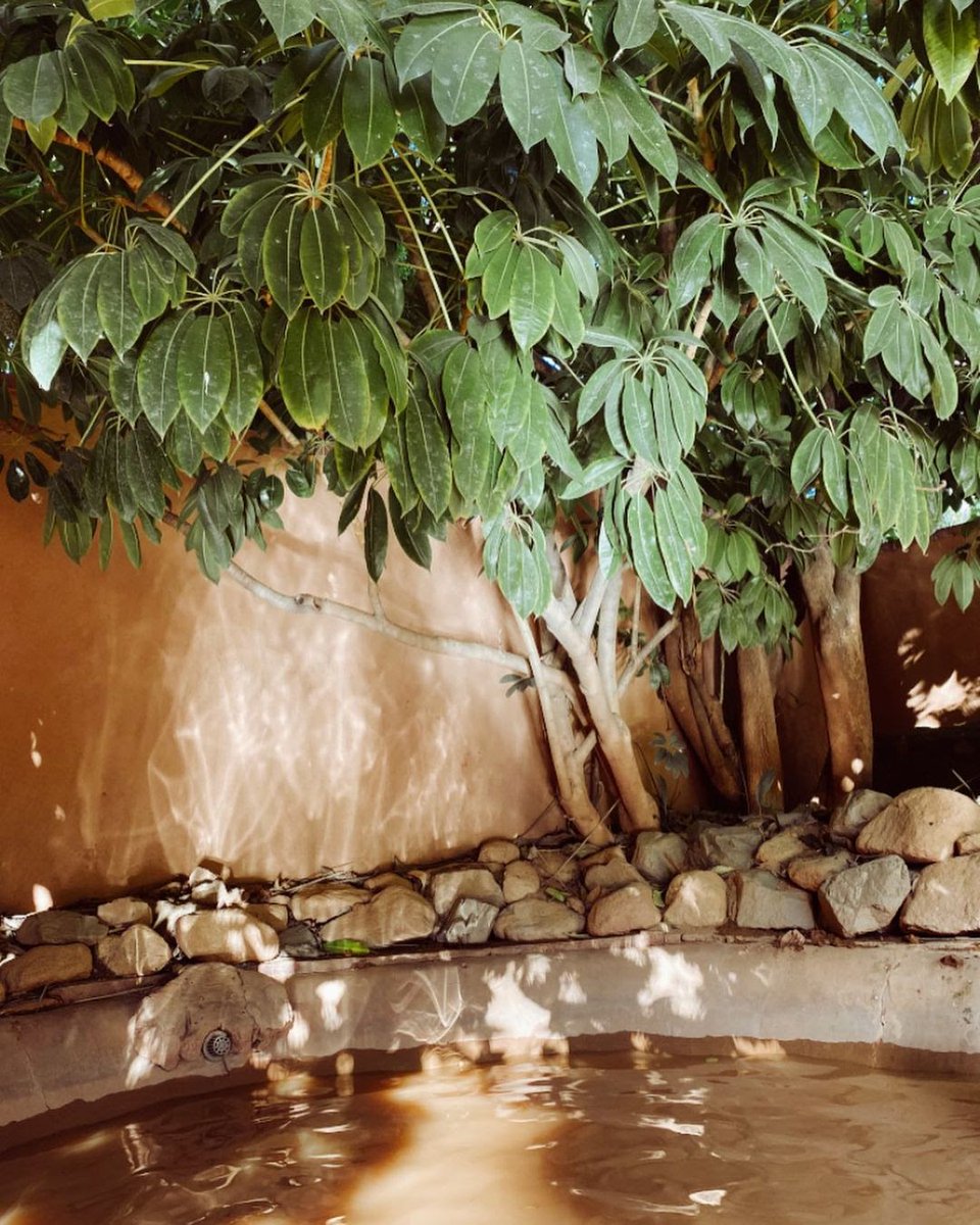 GlenIvySpas's tweet photo. Our #ClubMud experience is unforgettable. Play in the mud to reveal your natural glow and softest skin yet.  ✨

📷: @raiadestiny https://t.co/adIO6oqKh6