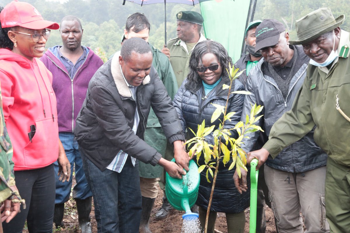 KEPSA_KENYA's tweet photo. Today, KEPSA led a tree planting session at Kieni Forest in partnership with @SafaricomPLC, @Environment_Ke, @KeForestService, @KEFRIHQ, @NYS_Ke, @mlbtchallenge, Integrated Forest Management and Kieni Community members. @SustainaBizKe https://t.co/aSJOJdNrWl