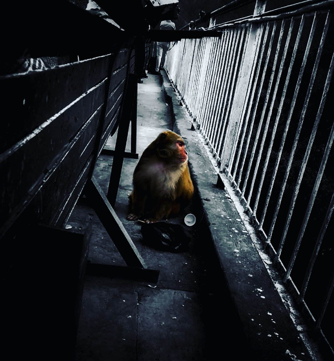 Shivamraj7521's tweet photo. Aaj kal ka nibba at time of Karva Chauth...

Nhi khna hai 😂😂

@kunalmalhotra26 #youeditmyphoto2021
#tpbchallenge 
#NetGeoYourLens 
#picture 
#photo 
#photography #indianphotographyhub #indiaclicks 
#yesindia
#worldphotographyhub #indiapictures #photographers_of_india https://t.co/BBdzWNYSav