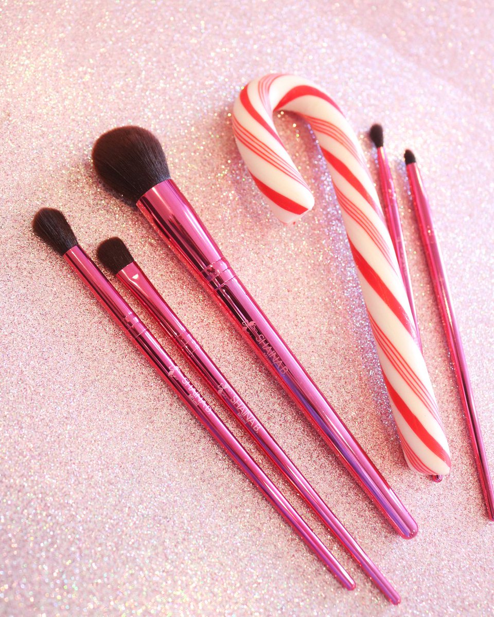 shaina b miami shainabmiami twitter