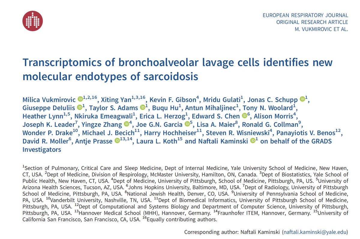 Naftali Kaminski tweet media