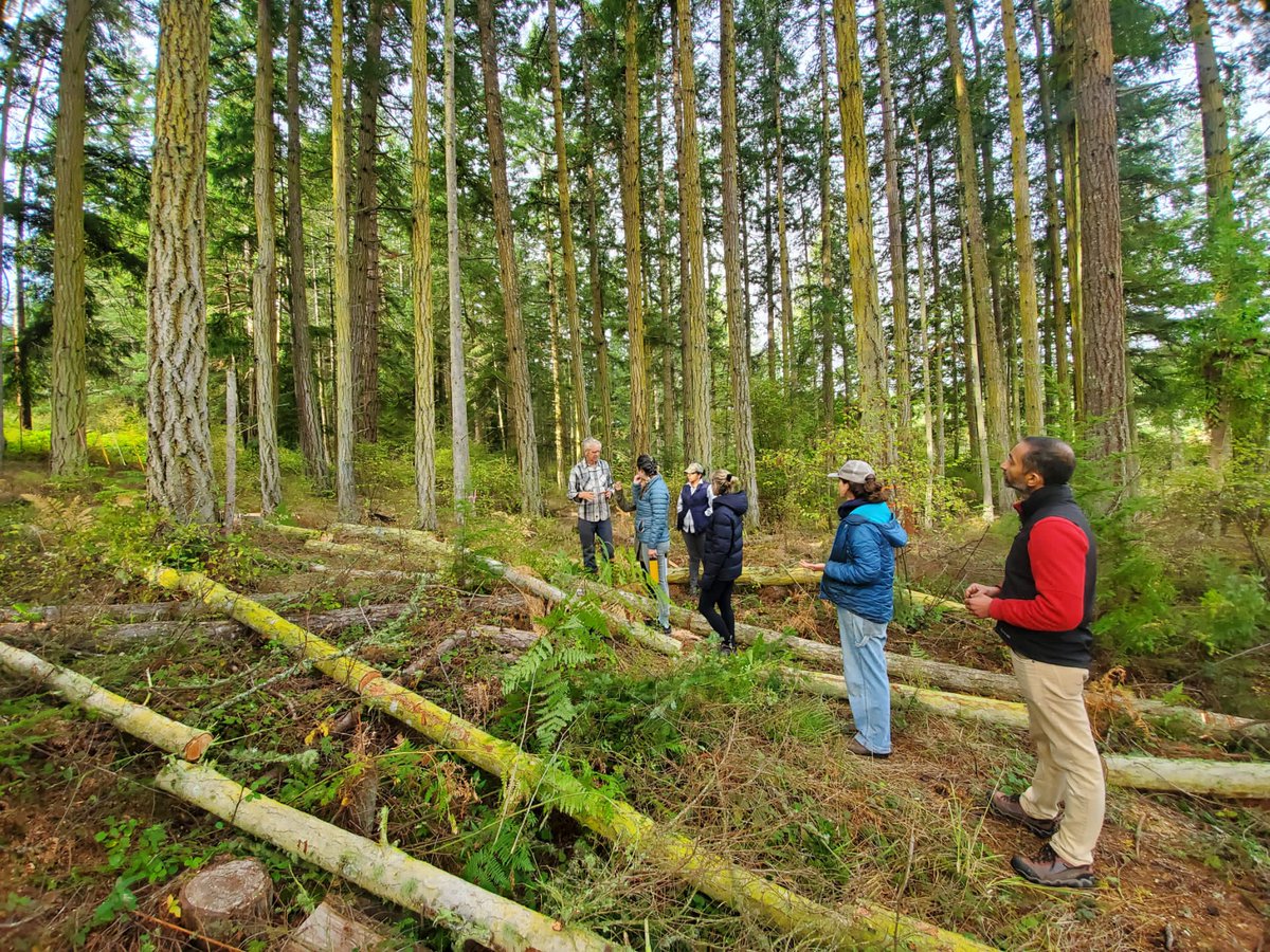 terradotdo's tweet photo. Our Climate Farm School (https://t.co/qqyxKb9Dvq) fellows got a taste of the lumberjack life during their week-long stay at Midnight's Farm.
Here they are learning about #agroforestry from David & Faith and helping out with forest health + #selectivethinning activities! 🌲🪚 🪵 https://t.co/b6YEobhPiN