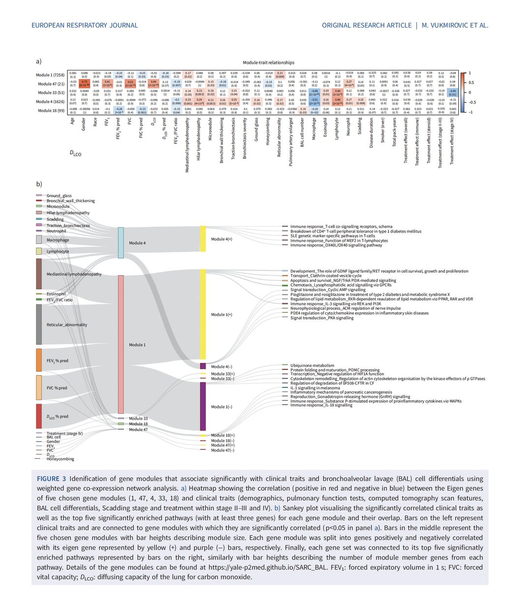 Naftali Kaminski tweet media