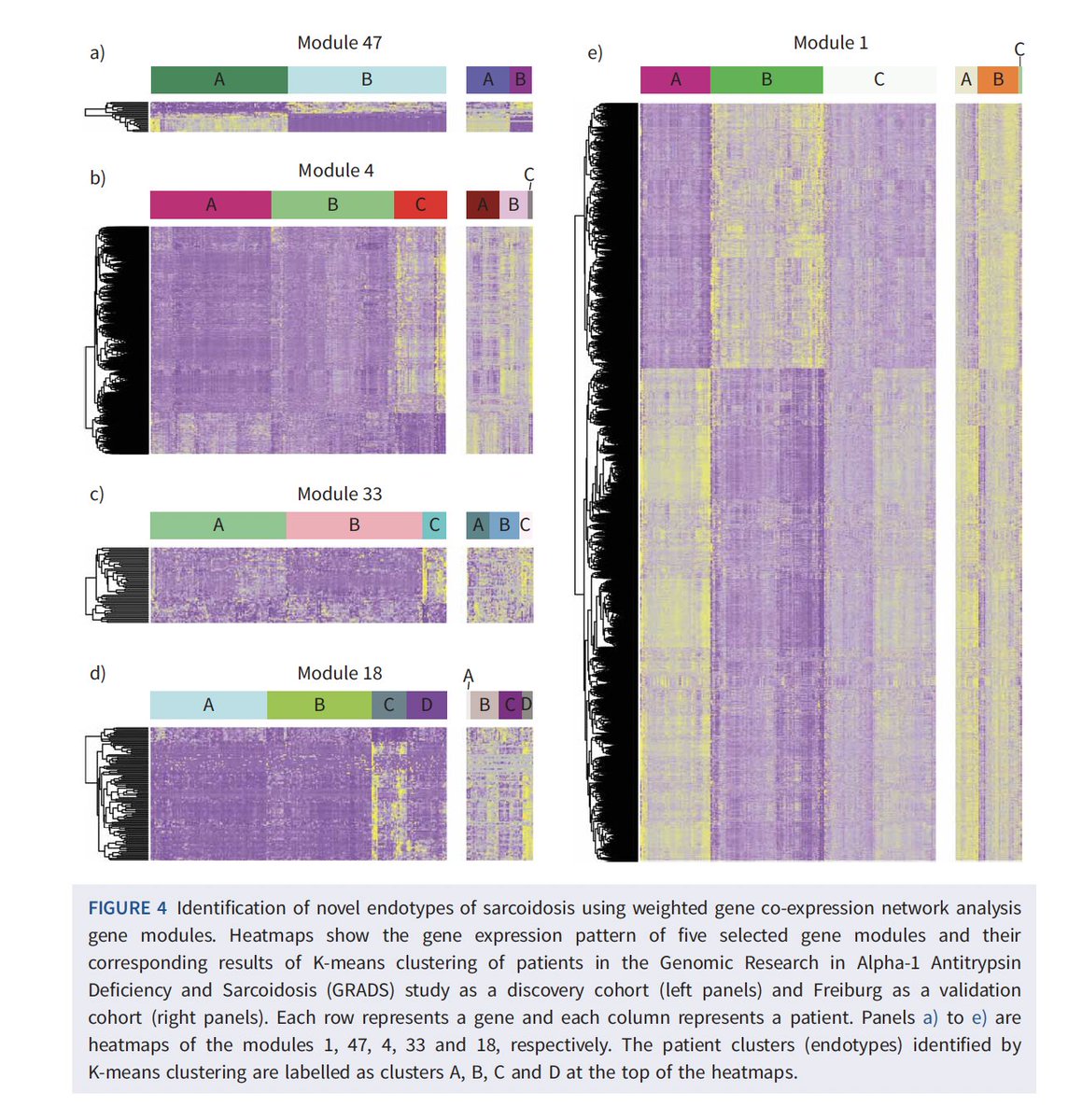 Naftali Kaminski tweet media