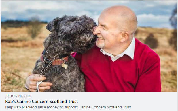 TherapetC's tweet photo. This Christmas I'm raising funds to help Canine Concern Scotland Trust who are a fantastic charity providing Reading Dogs for children in schools, as well as Therapets who visit hospitals and care homes all year round.  https://t.co/A64UG7XaTG https://t.co/KloWNVnArB