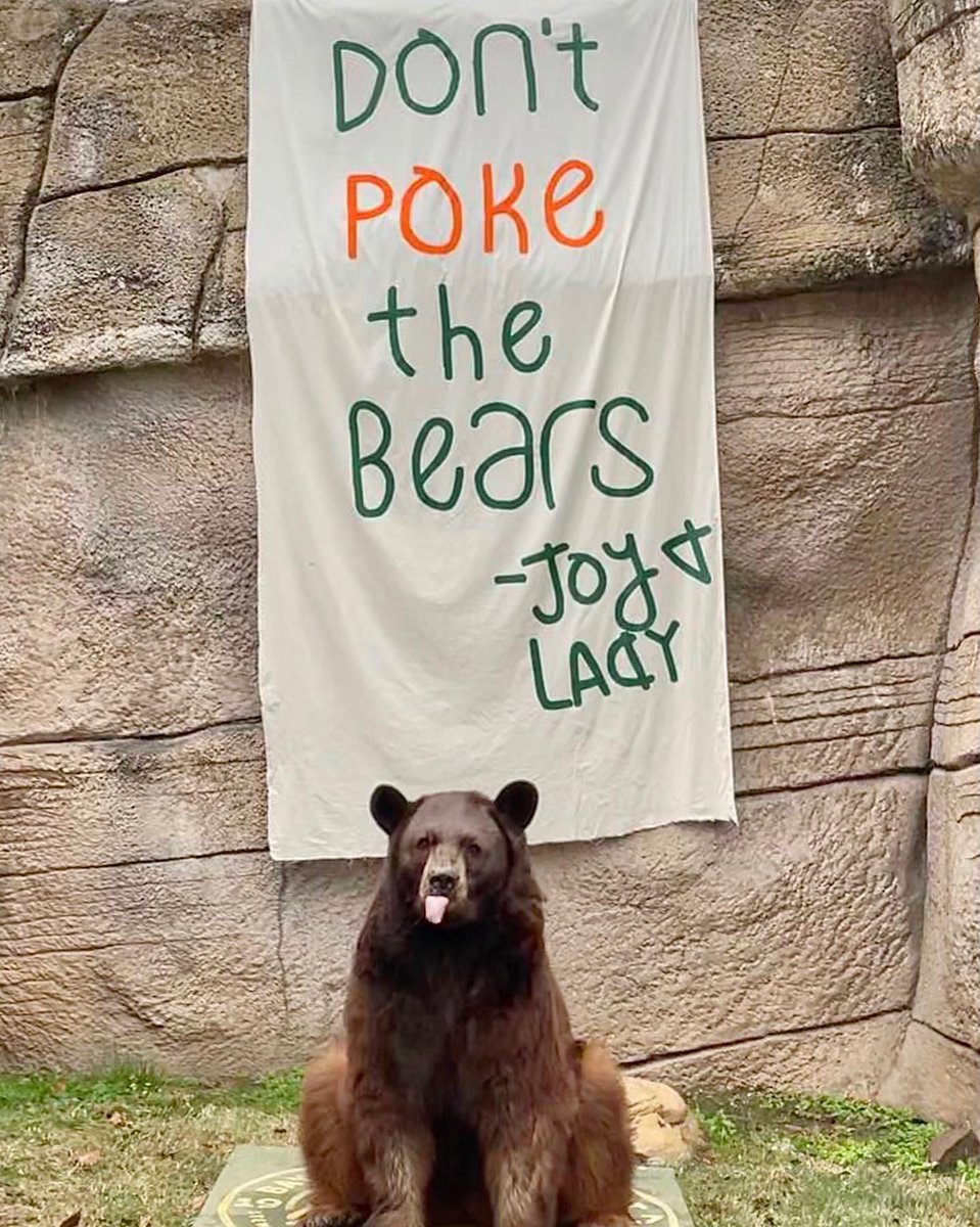 bubearhabitat's tweet photo. TOMORROW 👀😤 https://t.co/pBiaKmTOiB