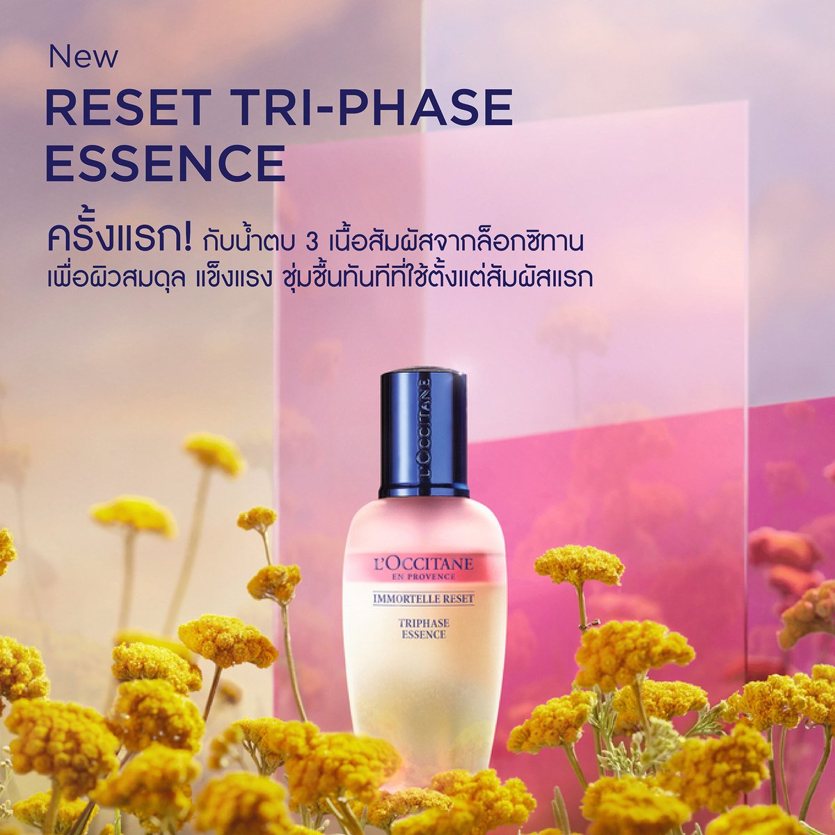 oncestyle_shop's tweet photo. โปร 12.12🎉
วันนี้  - 31/12

150ml♥️1690฿

➰l'occitane immortelle reset triphase essence•ของแท้100%

#น้ำตบ
-ผิวแข็งแรงขึ้น
-ปรับสมดุล
-ให้ความกระจ่างใส

📦ค่าส่ง 45฿

ขออาจหมดก่อนได้น้า
#HowtoPerfect  #โปร1212 #ดีบอกต่อ #สกินแคร์รักษาสิว #สกินแคร์ #น้ำตบ #ของมันต้องมี https://t.co/g3fJ1n38ij