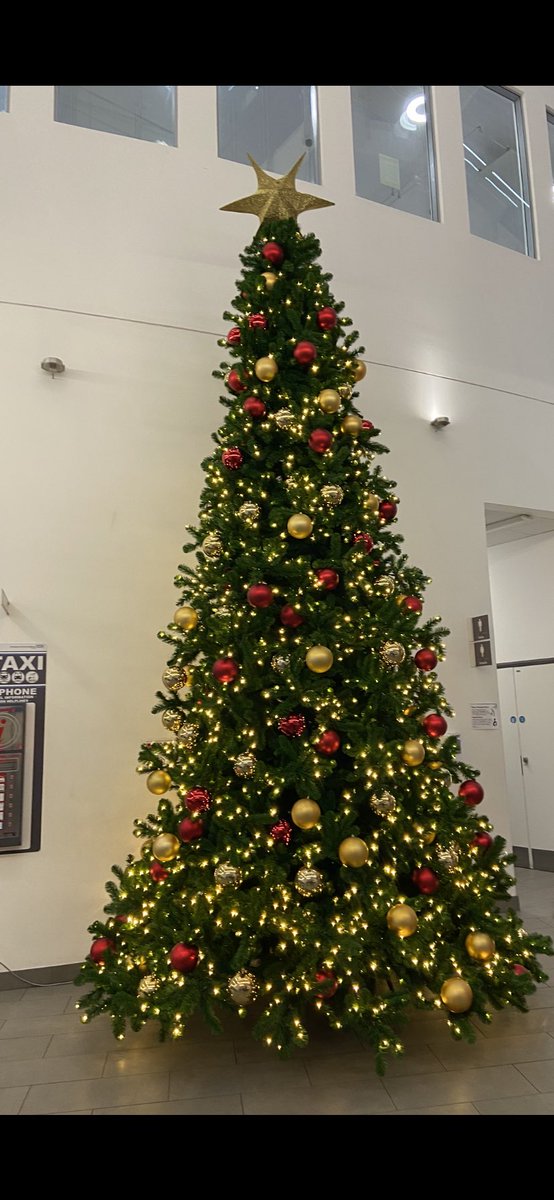 reena_patel89's tweet photo. Loving the tree this year @BchcDental https://t.co/PAksGqZcLp