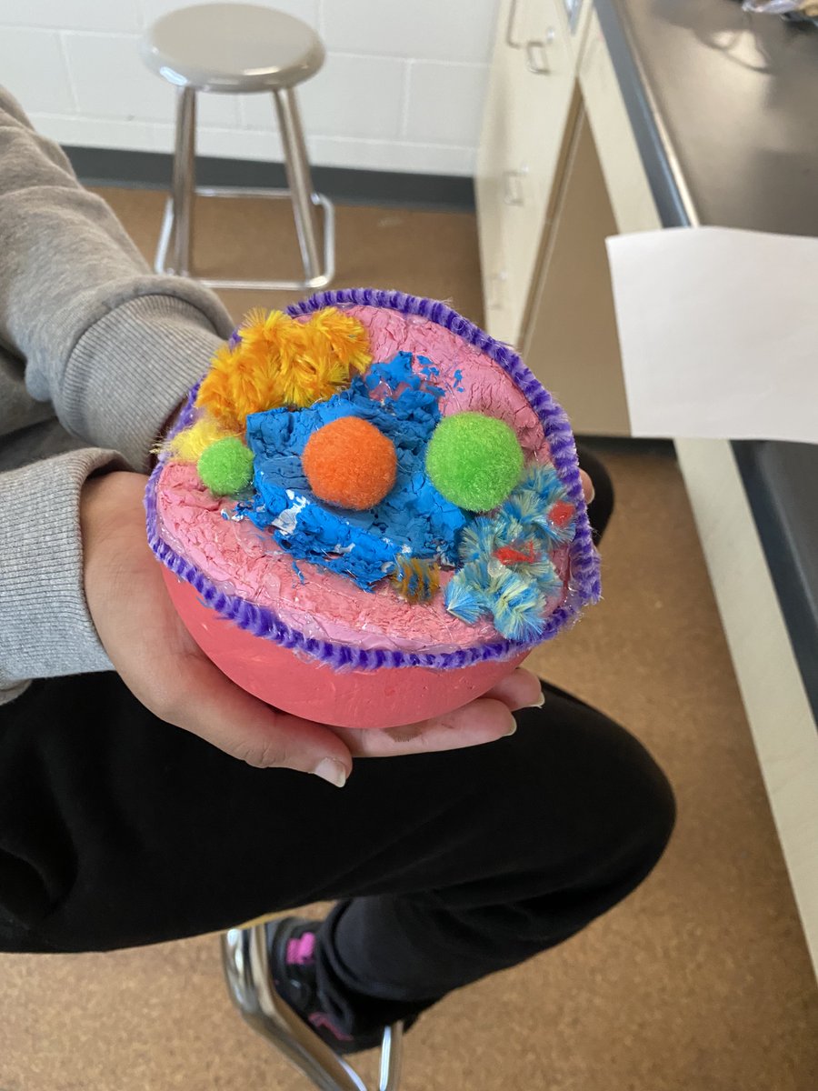 Class 8-3 building their Plant or Animal Cell Models