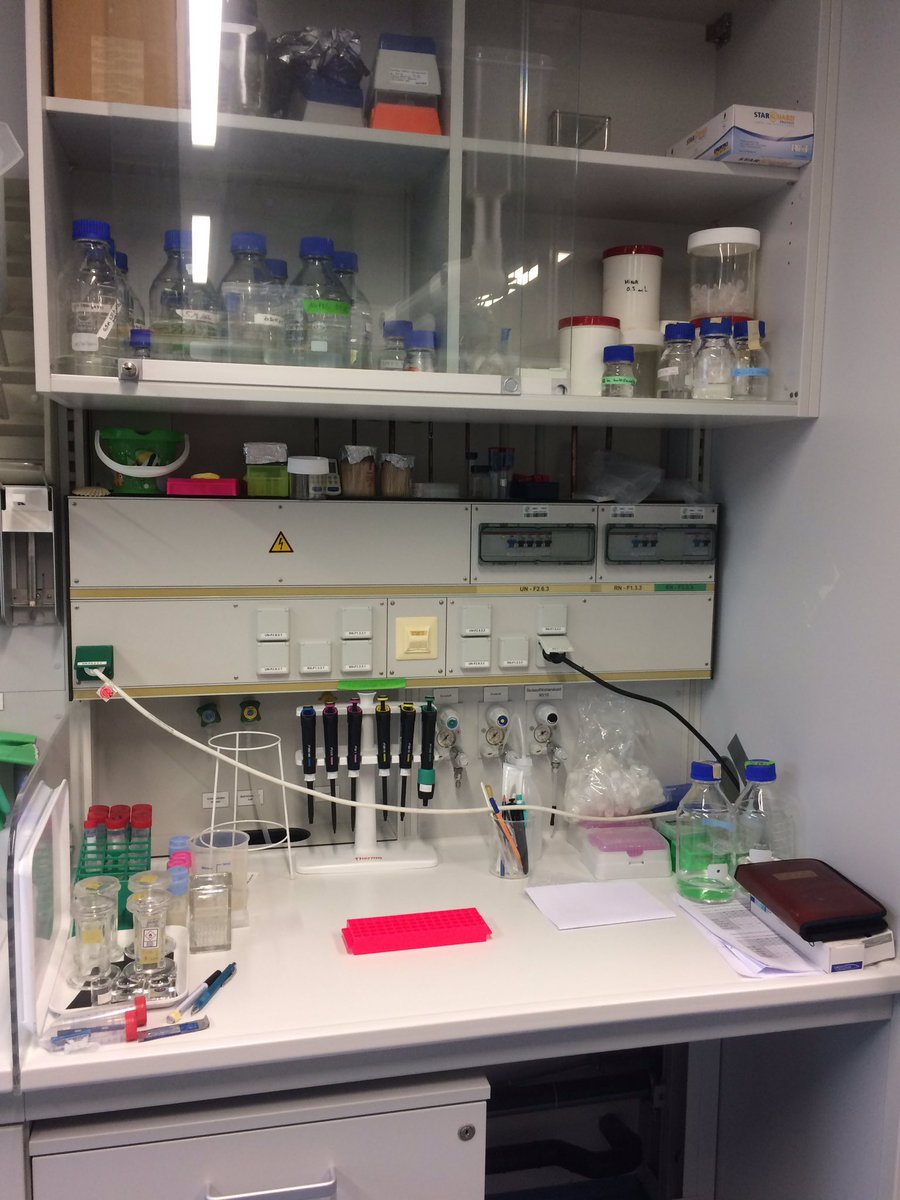 benebio3D's tweet photo. Cleaning my lab space after over seven years @MarineMicrobio was a lot more sad than I thought it would be 😭
But coming across all the weird shit/samples I had forgotten about made up for it😅
🐜🐔🧠🐙🦐🐚
#tinybeaker https://t.co/9OIu6OxN9b