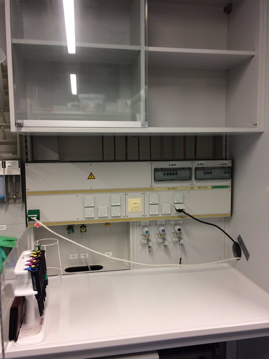 benebio3D's tweet photo. Cleaning my lab space after over seven years @MarineMicrobio was a lot more sad than I thought it would be 😭
But coming across all the weird shit/samples I had forgotten about made up for it😅
🐜🐔🧠🐙🦐🐚
#tinybeaker https://t.co/9OIu6OxN9b