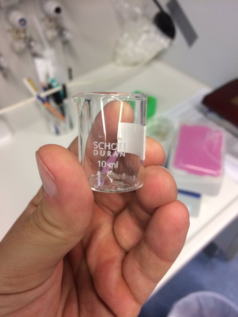 benebio3D's tweet photo. Cleaning my lab space after over seven years @MarineMicrobio was a lot more sad than I thought it would be 😭
But coming across all the weird shit/samples I had forgotten about made up for it😅
🐜🐔🧠🐙🦐🐚
#tinybeaker https://t.co/9OIu6OxN9b