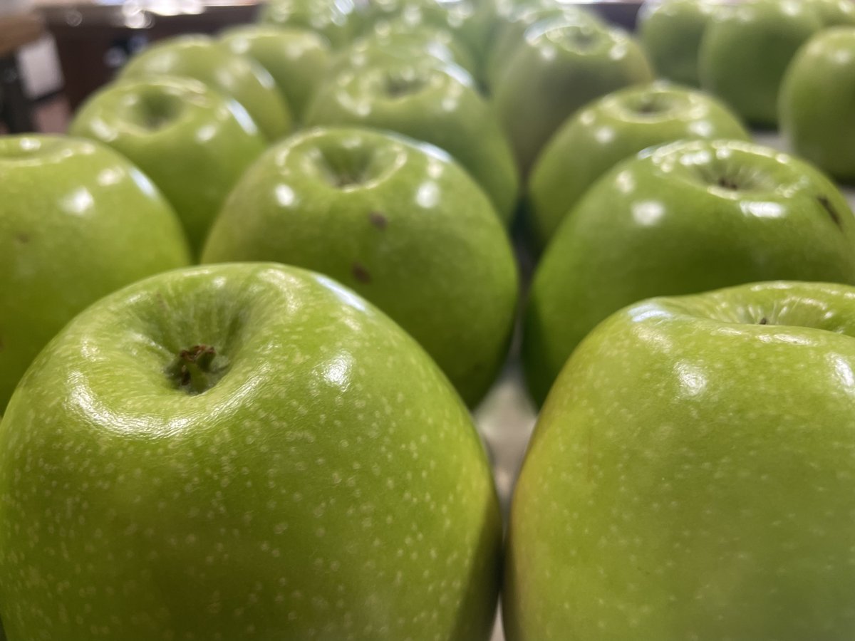 MasterProvision's tweet photo. A busy Friday at MP!!! We welcomed volunteer groups from Covington Classical Academy and 
@Ryle_HS . It's also "apple makin'" day as we prepare to say a Christmas thank you! https://t.co/1HAbGRd1E0