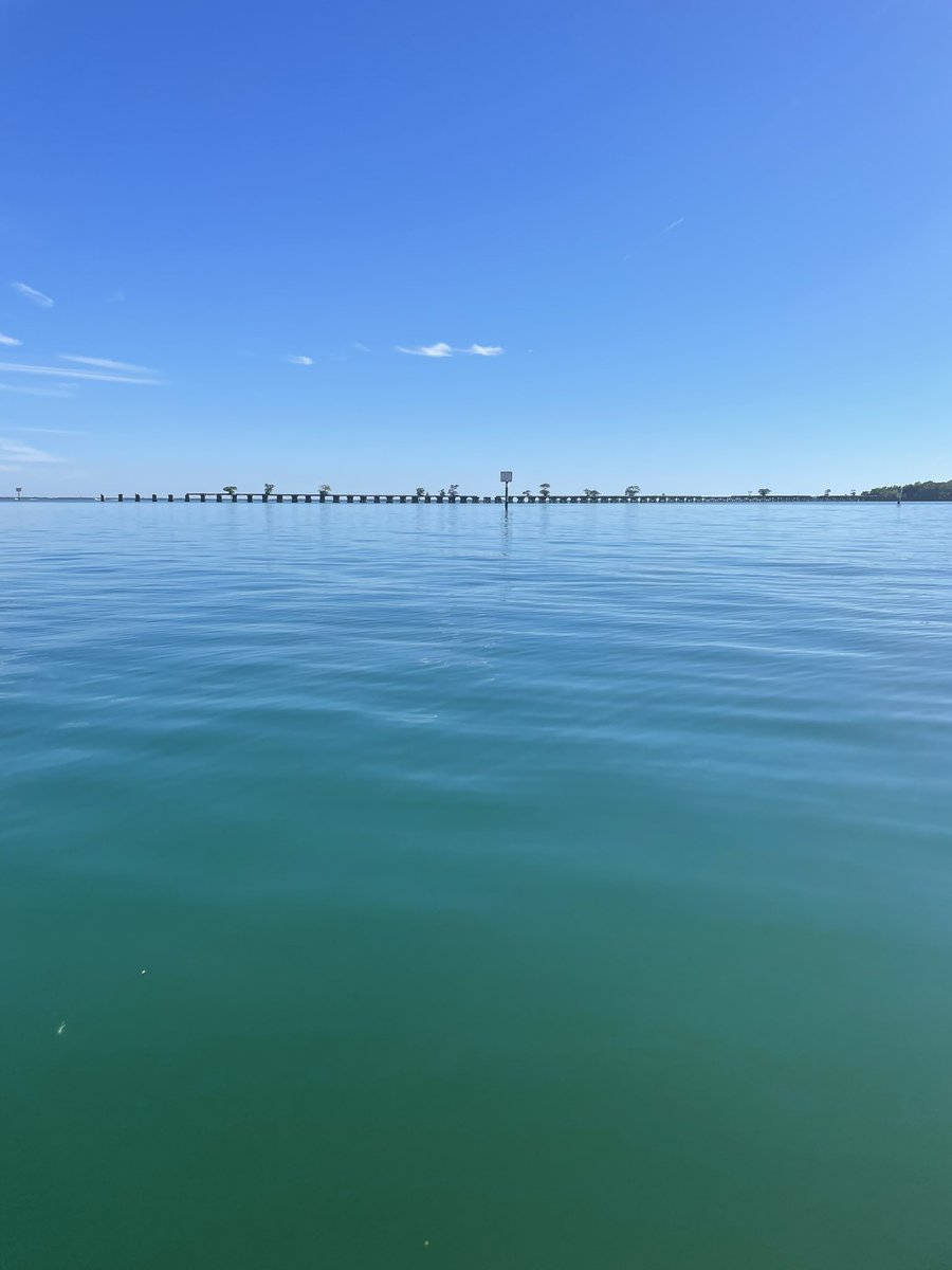 ReelPropertyFL's tweet photo. This is what winter looks like in #SouthwestFlorida https://t.co/c0VsEkMfYS