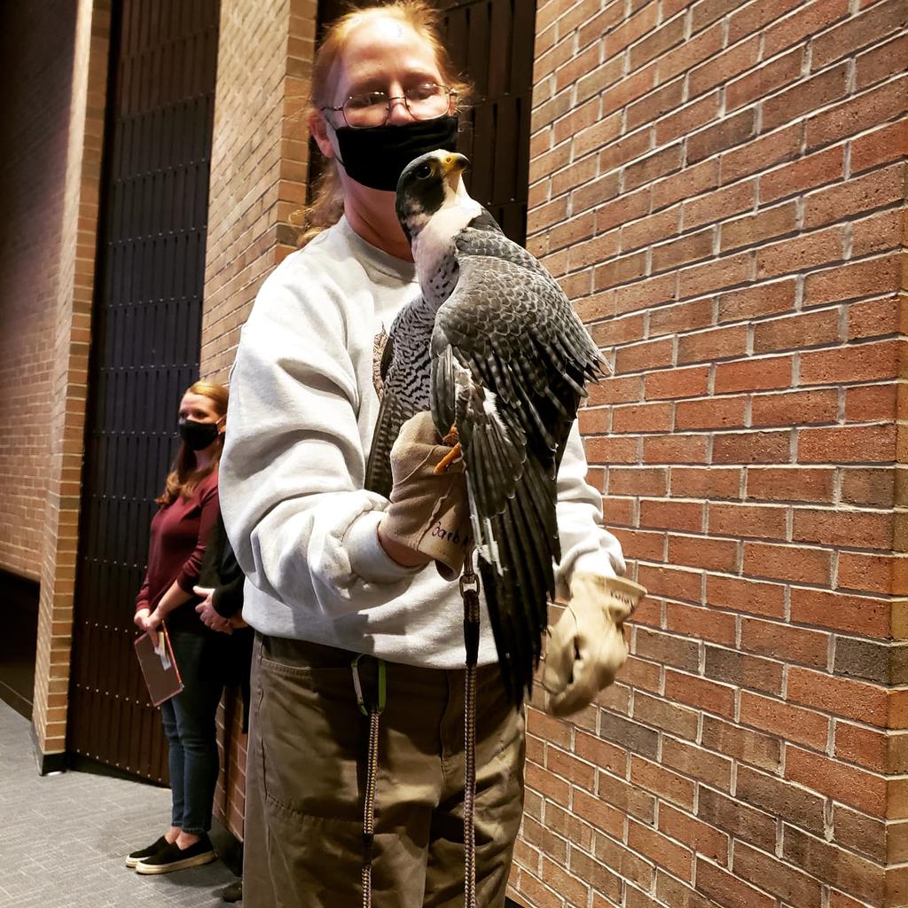 MrLewisDMS's tweet photo. Bird was the word today at DMS! Barb and Joe Rodgers certainly weren't "just winging it" with this assembly. Fly on over to https://t.co/EmEZJ5fRos for some owlsome information on their work with Michigan birds! https://t.co/1g0kxYhGm9
