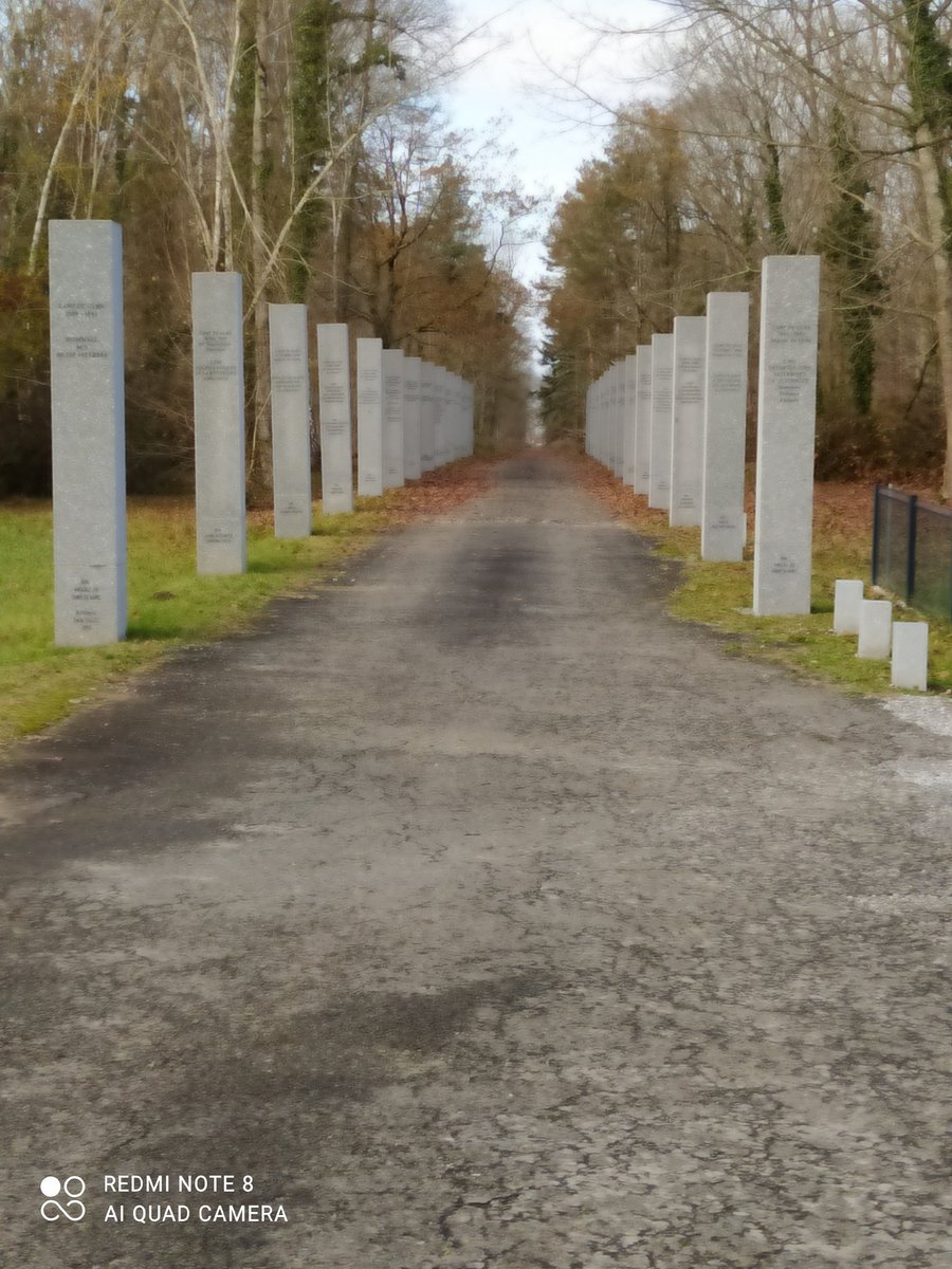 ClineLOPEZ9's tweet photo. Visite du camp de Gurs pour tous les élèves de 2nde GT du @victorduruy65. Camp de réfugiés construit pour répondre à l'arrivée de réfugiés Espagnol en 1939 puis utilisé jusqu'en 1945 pendant la seconde guerre mondiale.
#mémoire #laretirada https://t.co/kmNUGOC1JY