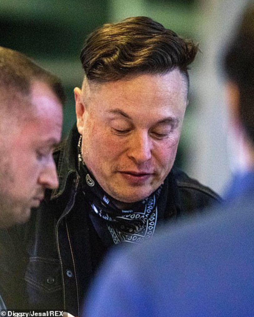 DaveMcNamee3000's tweet photo. make fun of Elon musk all you want but no one else has ever been able to combine all Three Stooges into ONE haircut https://t.co/sF7kmAl89x