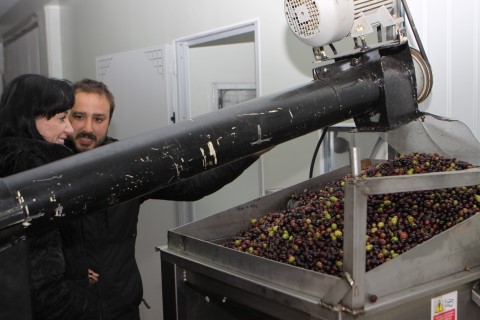 radio_vitoria's tweet photo. 🫒 Lucía Lacarra amadrina el primer aceite de oliva virgen extra de Rioja Alavesa 👉 Trujal Erroiz #APRORA ➡️ Asociación Gautena
#Lantziego @Rioja_Alavesa
🎙️ #Herrian @AcoaAke
https://t.co/y7lXC7ZopG https://t.co/PBF4hohNSy