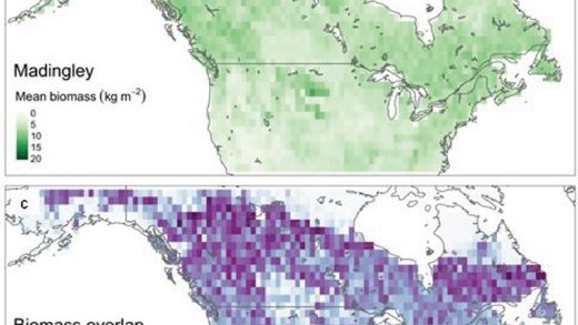AIBSbiology's tweet photo. Authors in the latest article in #BioScience discusses "A New Approach to Evaluate and Reduce Uncertainty of Model-Based #Biodiversity Projections for #Conservation #Policy Formulation". #aibs #biojournal https://t.co/Z2cgvR3N46 https://t.co/iZJvyEBCEO