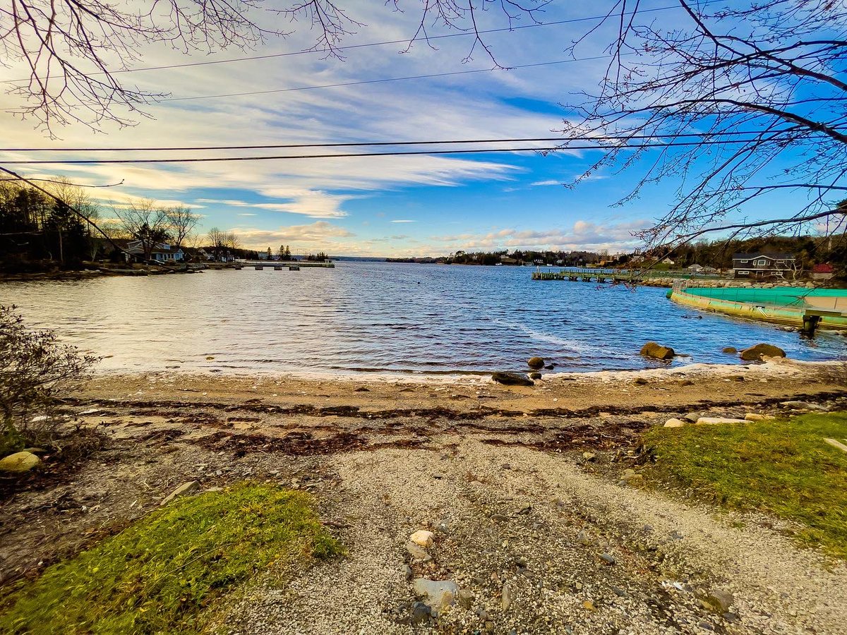 Suzy The Explorer tweet media