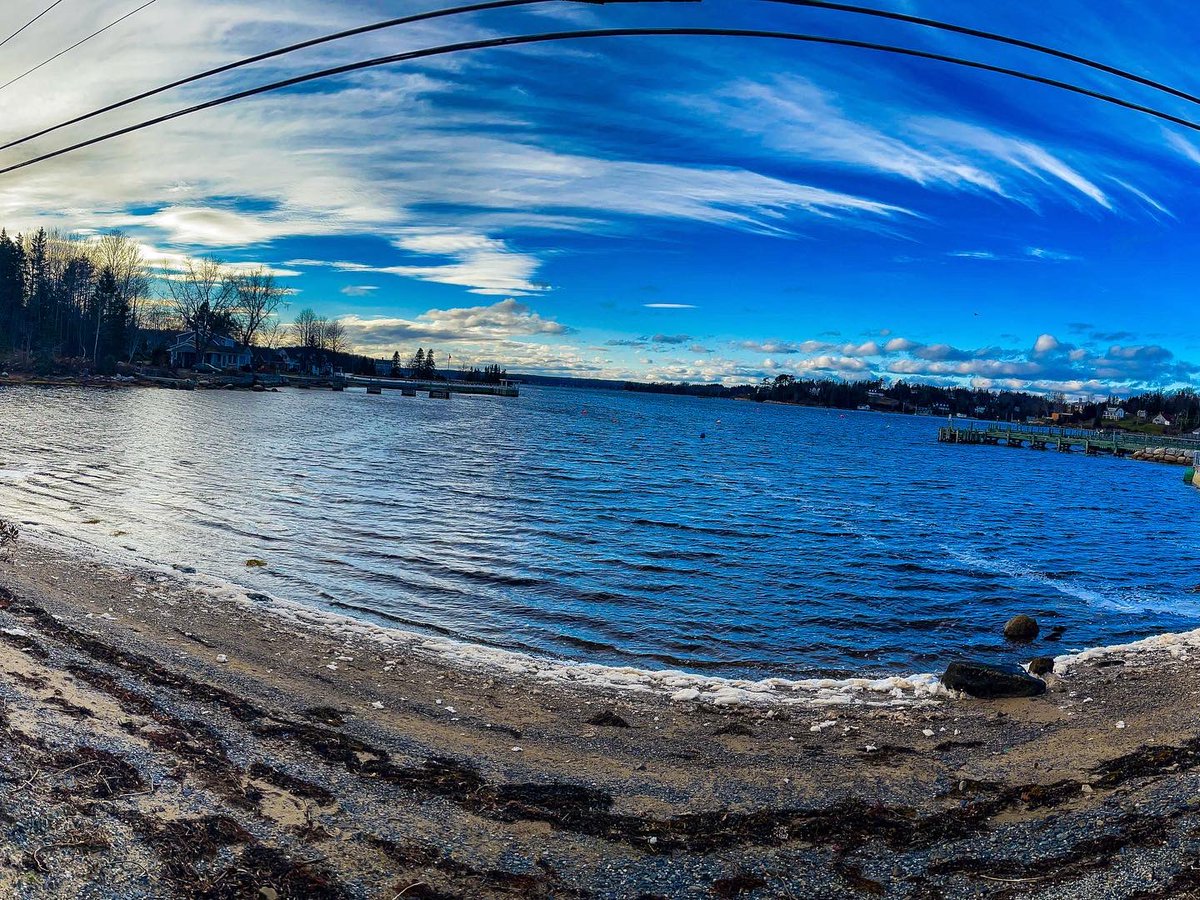 Suzy The Explorer tweet media