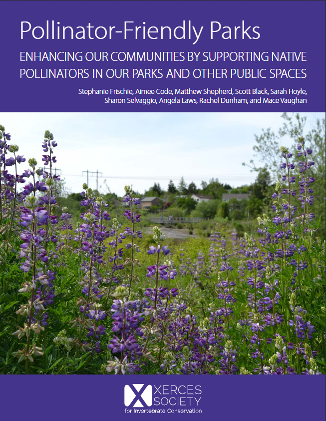 rghatfield's tweet photo. New #Pollinator #conservation resource alert! The fine team @xercessociety just released a new guide on creating pollinator-friendly parks. Please read and share widely.
https://t.co/z8cUg8VJhY https://t.co/dBDiolGinM