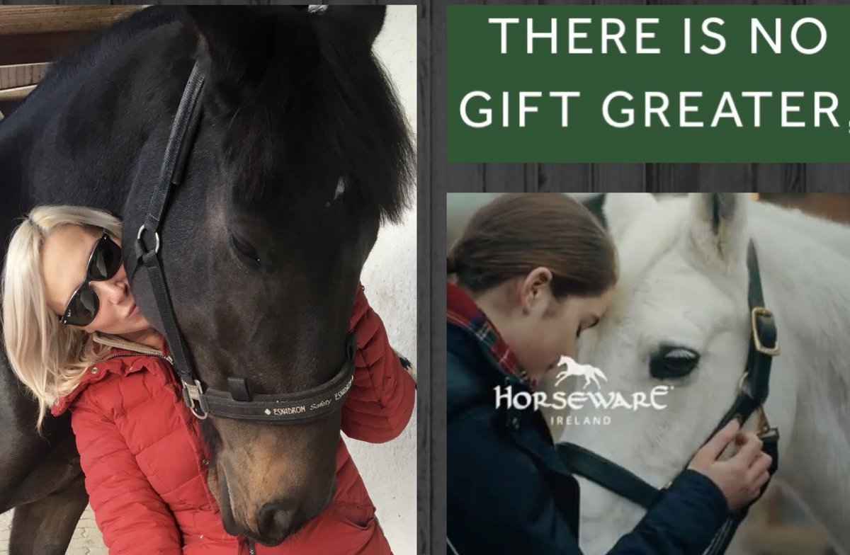 KrisBlackRose's tweet photo. @Horseware Thank you so much for this magnificent video. I know the feeling… #ThroughItAll #MagicBond with my #Saxo https://t.co/keDcVbYIib