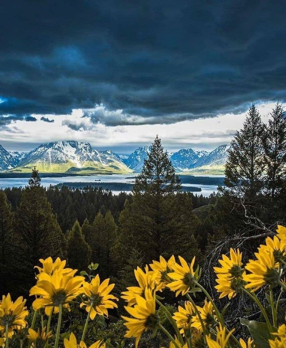 Дикий штат Вайоминг #Wyoming