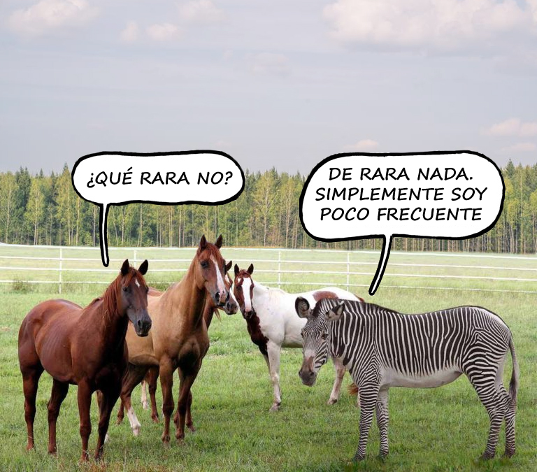 ESTVCG's tweet photo. El cáncer neuroendocrino no es una enfermedad rara. Es poco frecuente. https://t.co/W9mmL9LZ1P