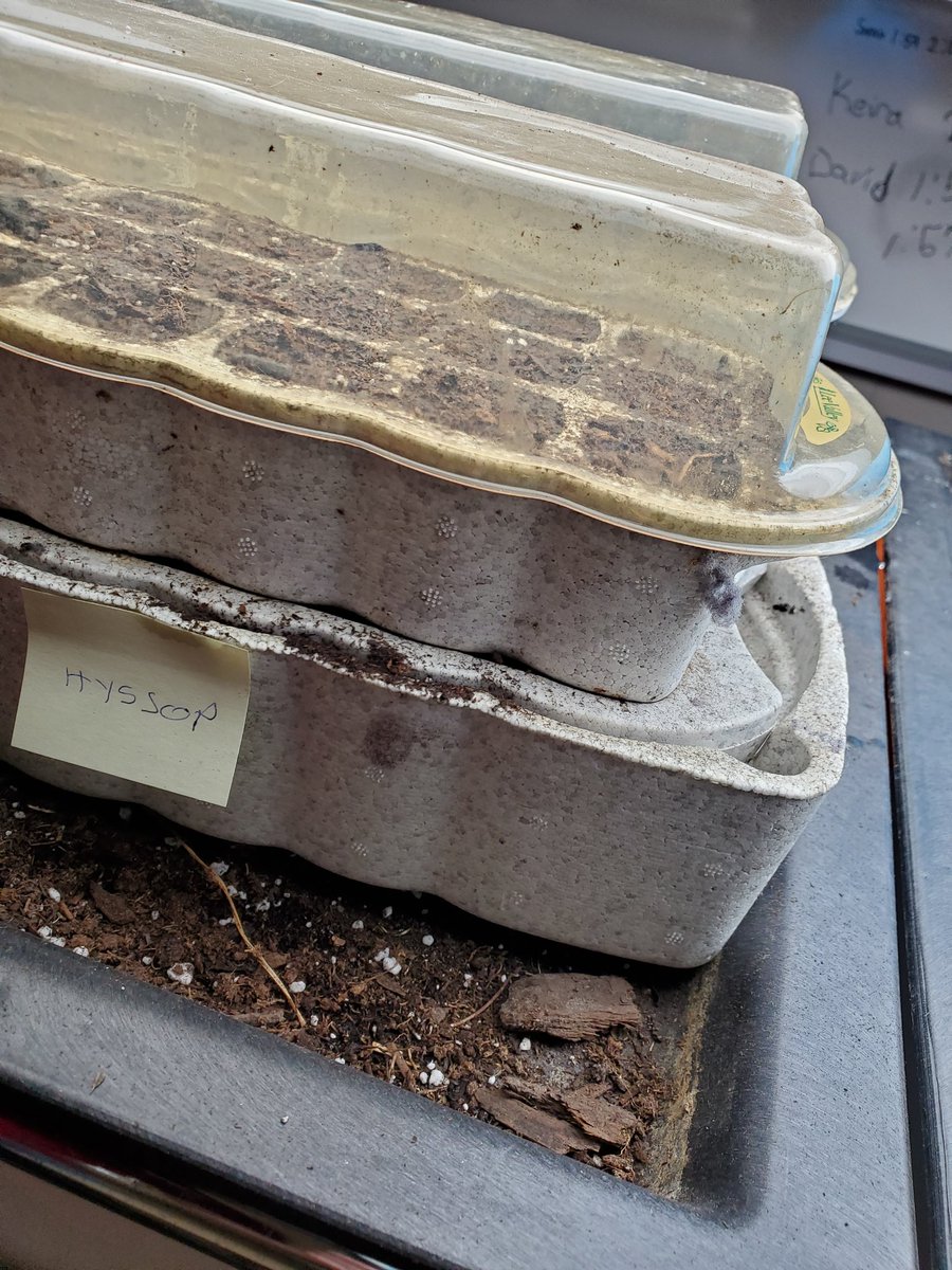 Had a great Friday planting some native seeds with my class at David Suzuki SS.
#ecosystem
<a href="/DavidSuzukiSS/">David Suzuki Secondary School</a> <a href="/DSSSEco/">Suzuki EcoTeam</a>