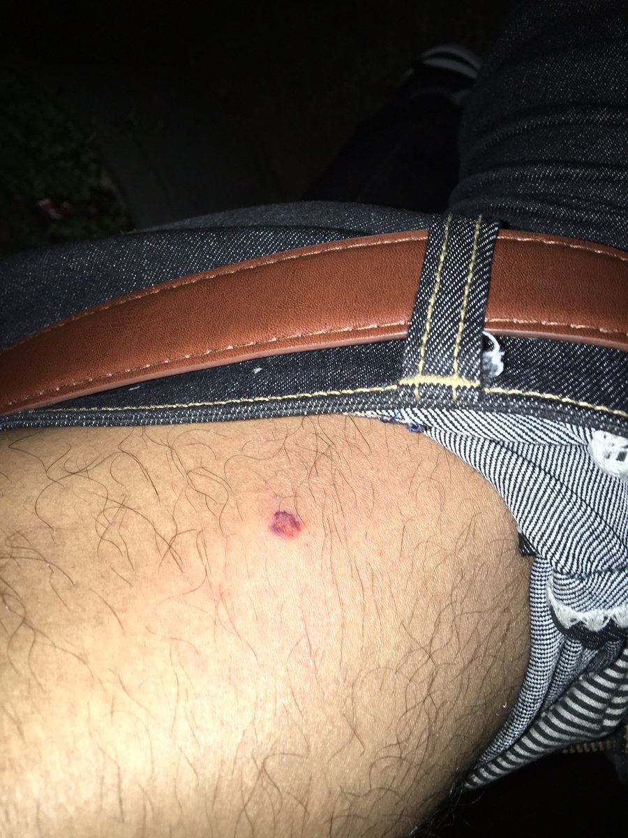 widi wardani purnama tweet media