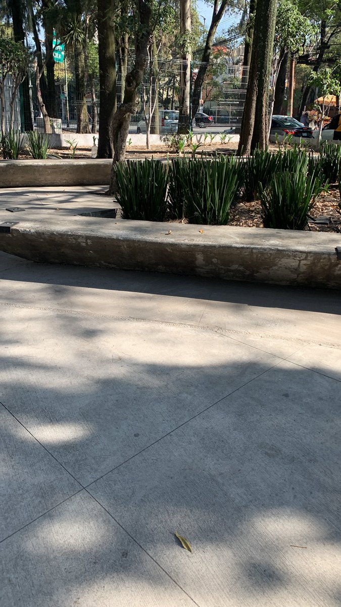 Un momento de soledad para disfrutar en silencio. 🥰😍