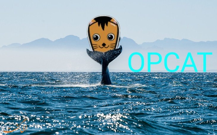 i_Love_opcat's tweet photo. The whales wake up
#opcat #optimusswap #opcatarmy  #ren  #perl #thg #comp #shib #vix #leo #spacex #omi #1inch #mcc  #mufc  #sushi #ewll #gm  #abnb  #cvac #bird #gmr #shib #vsc  #ftt #ufo #ddx #zil #ayro #zivo #bepro  #lem #rblx #xolo #kiba #safemoon #cat #sand #mana #floki #doge https://t.co/EDJC3iYOoe