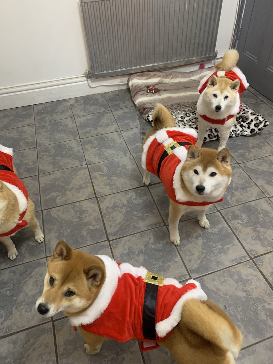 Almolka's tweet photo. Santas little helpers will be at @MerPolStHelens on 10th  Dec from 5.00 pm Tom Cunningham from CID has the details.14th Dec AM we will be at Smithdown lane @Gavlar7007 and PM we will be at new HQ Rosehill, if you want to book next year contact Tina cook we’re getting busy x https://t.co/aP6OX09RI5