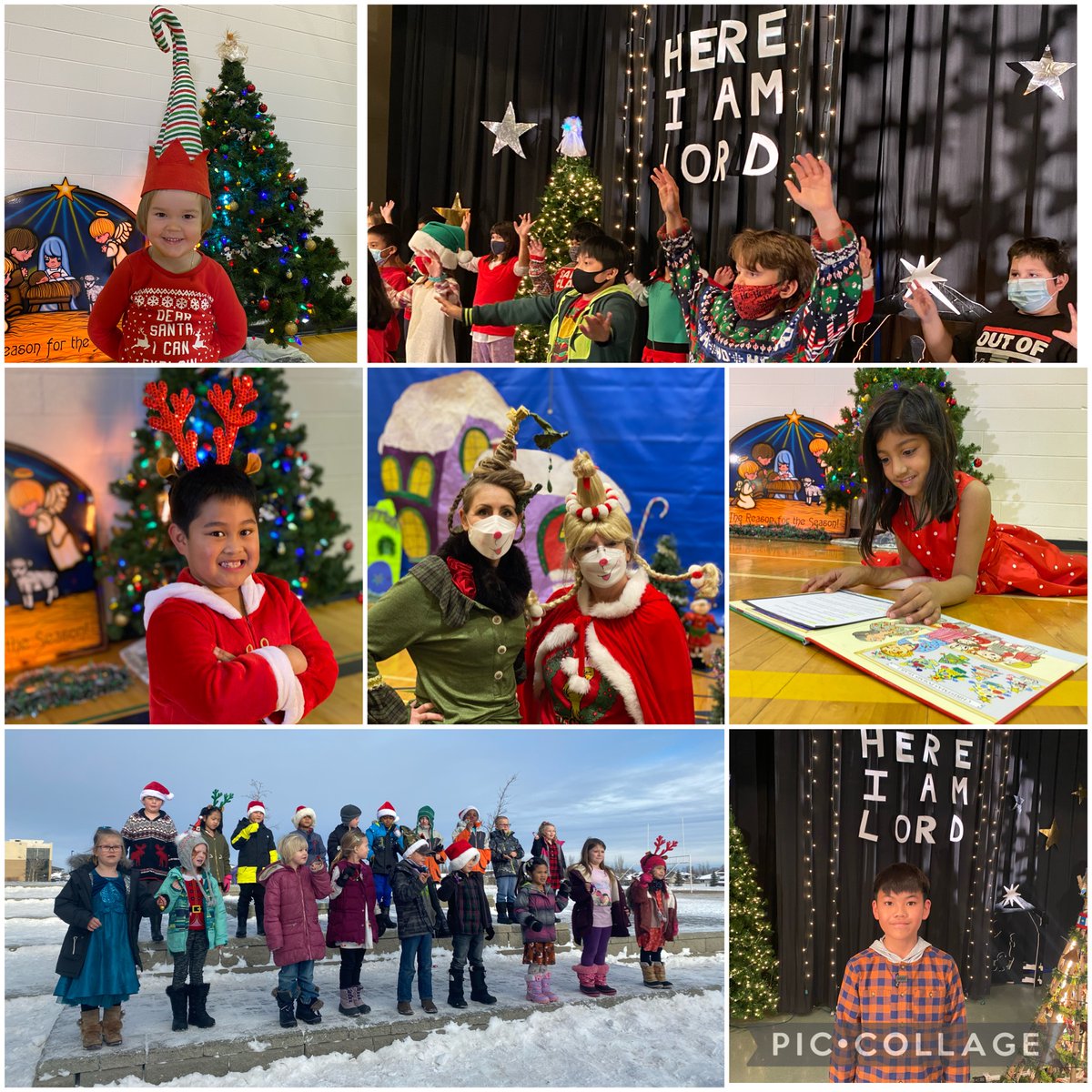 NigelMcCarthy6 tweet media