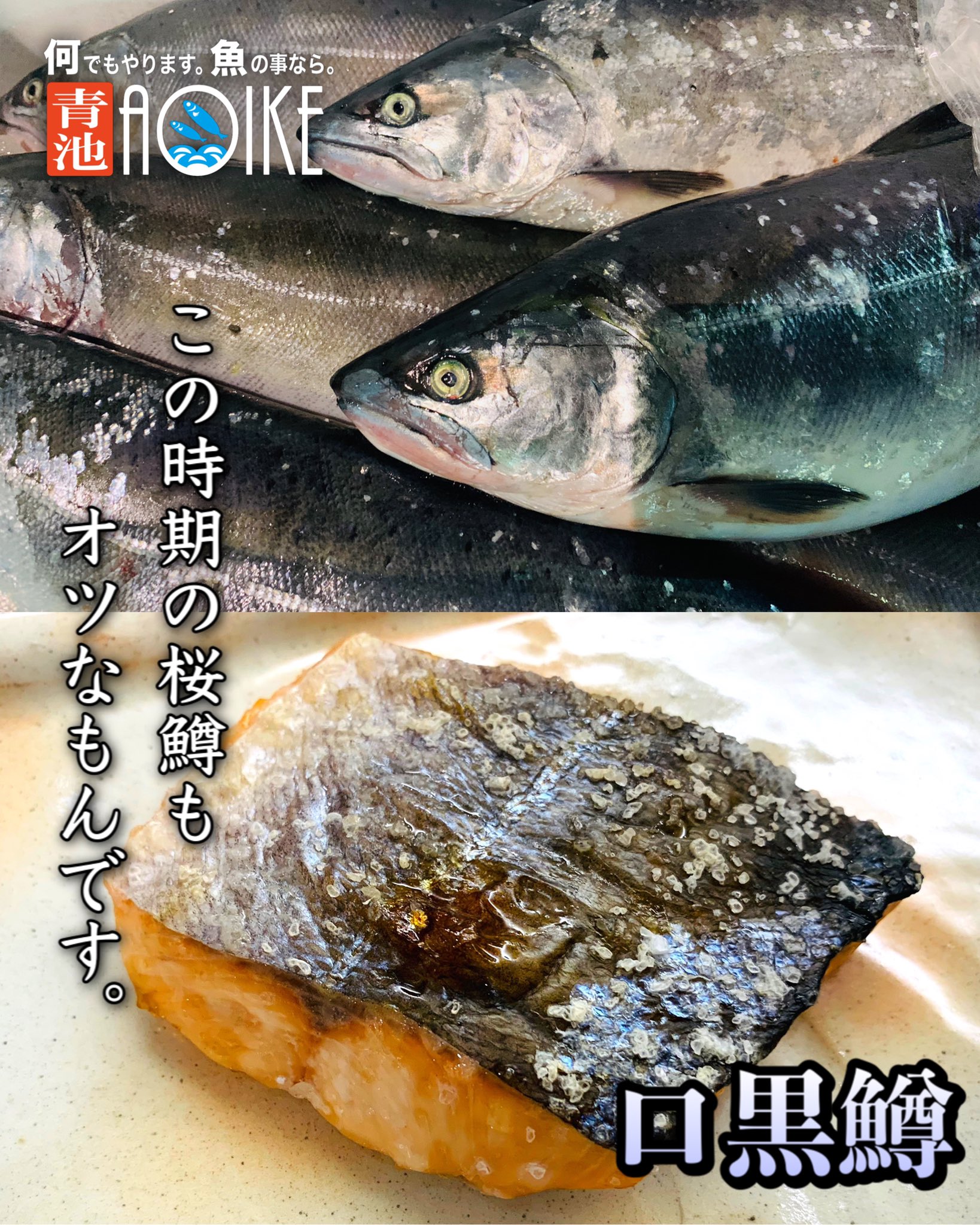 Aoike 青池水産株式会社 口黒鱒の塩焼き 口黒鱒 クチグロマス 桜鱒 サクラマス この時期に漁れるサクラマスを口黒鱒と呼びます その名の通りお口が黒い 昨日購入して塩焼きで頂きました タンパクなのだけどチップ独特の風味もありサッパリ頂け