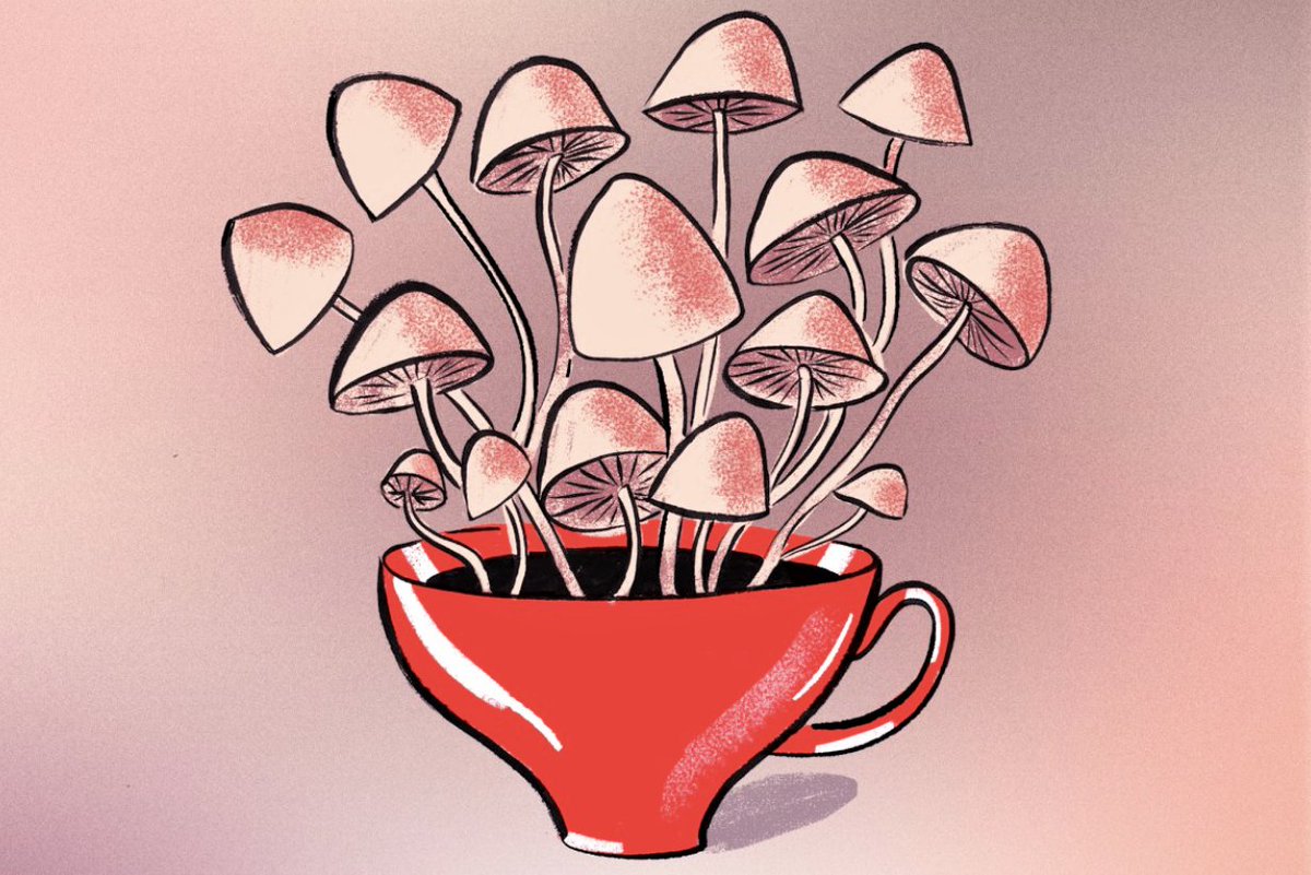 TamimTeas's tweet photo. My favorite kind of tea is adaptogenic mushroom tea ♥
 
#mushroomart #teaart #mushroomtea #mushrooms #teacup #tea #tealover #tealovers #tealoversofinstagram #drinktea #mushroomlove #mushroomlover #mushroomsofinstagram #mushlove #fungifan #functionaltea https://t.co/ODYkrOy9H1